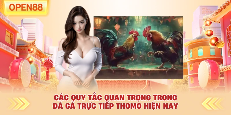 Các quy tắc quan trọng trong đá gà trực tiếp thomo hiện nay